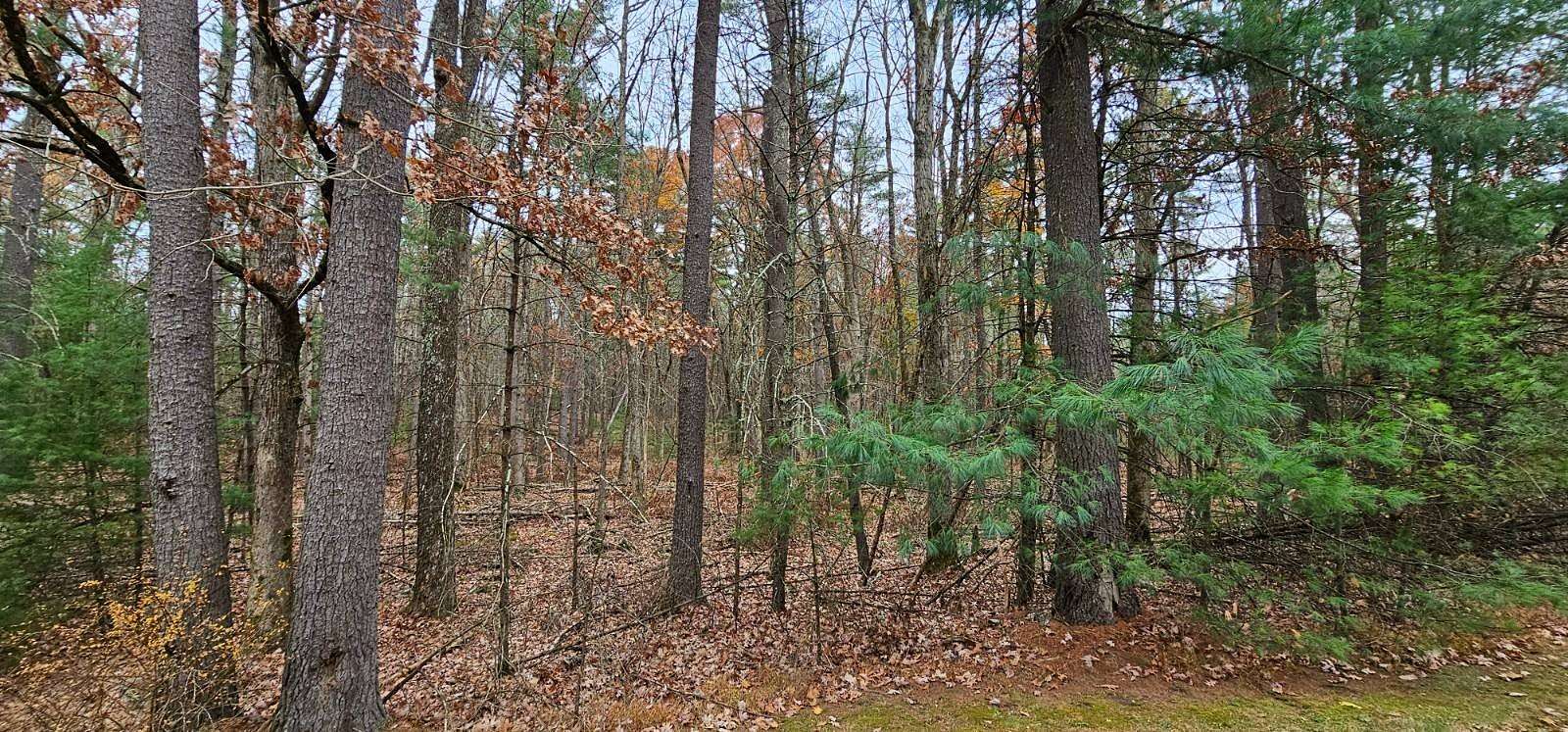 6 Acres of Residential Land for Sale in Eldred, New York