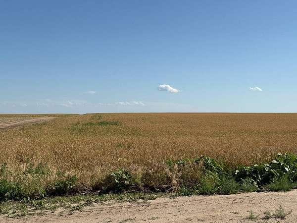 159 Acres of Agricultural Land for Sale in Gurley, Nebraska