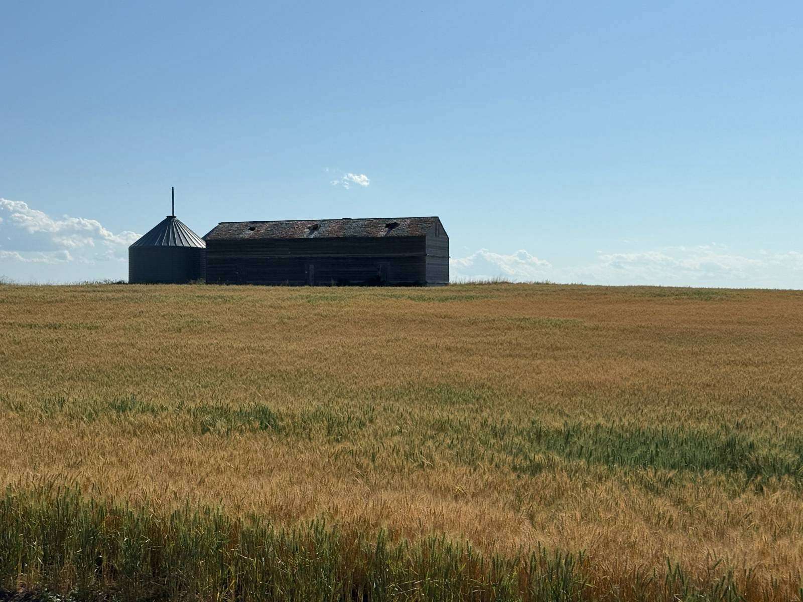 159 Acres of Agricultural Land for Sale in Gurley, Nebraska