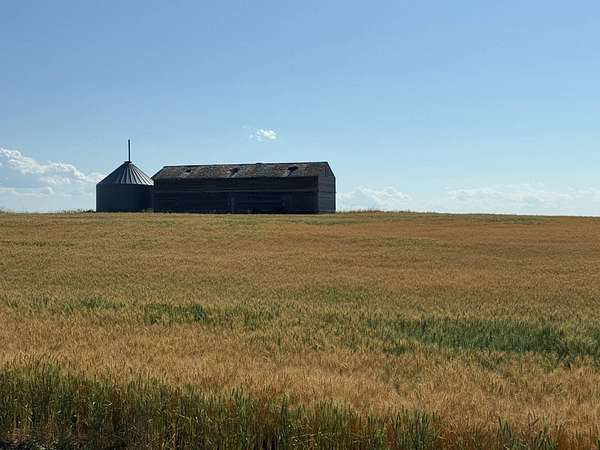 159 Acres of Agricultural Land for Sale in Gurley, Nebraska