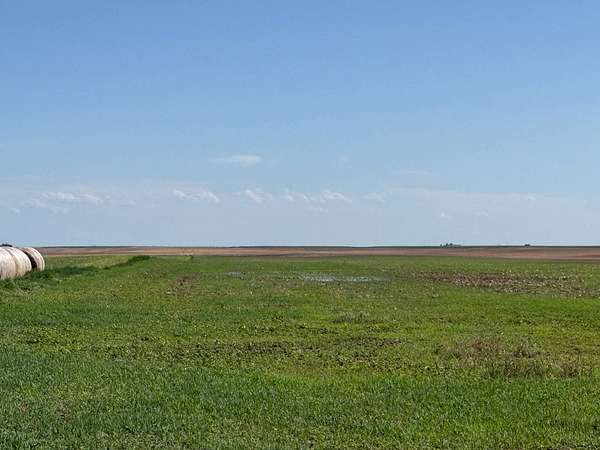 157 Acres of Agricultural Land for Sale in Gurley, Nebraska