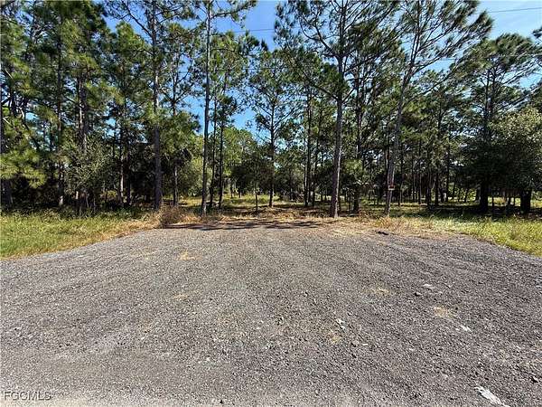 1 Acre of Residential Land for Auction in Clewiston, Florida