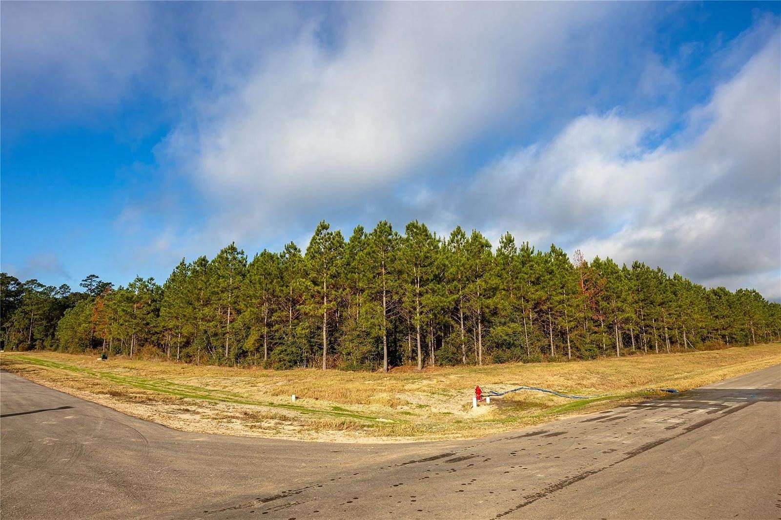 1 Acre of Residential Land for Sale in Willis, Texas