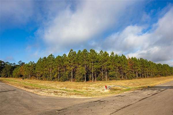 1 Acre of Residential Land for Sale in Willis, Texas