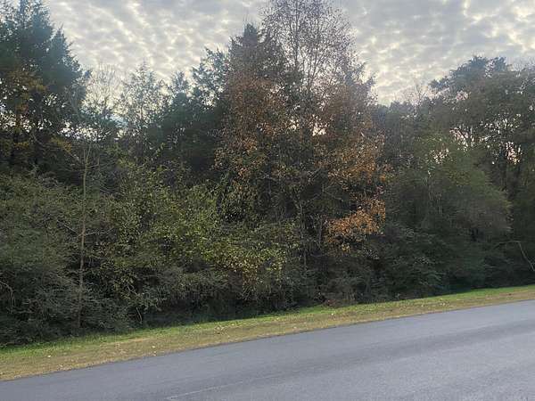 0.56 Acres of Land for Sale in Heber Springs, Arkansas