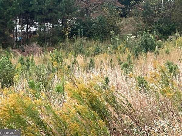 1.67 Acres of Commercial Land for Sale in Jonesboro, Georgia