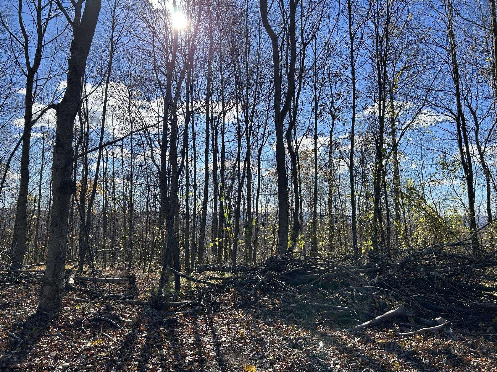 104 Acres of Recreational Land for Sale in Terra Alta, West Virginia