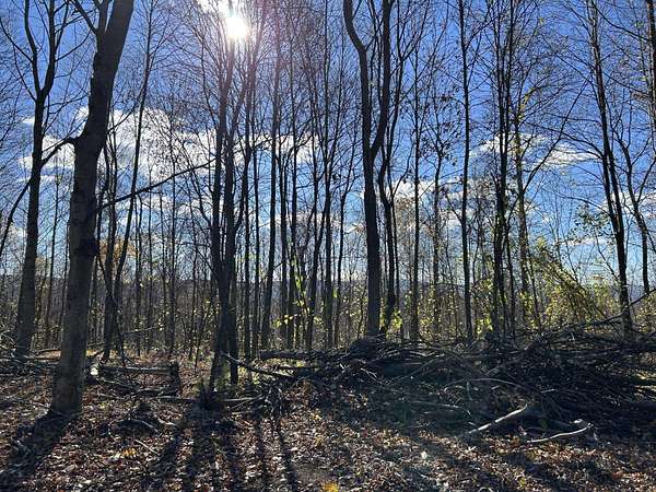 104 Acres of Recreational Land for Sale in Terra Alta, West Virginia