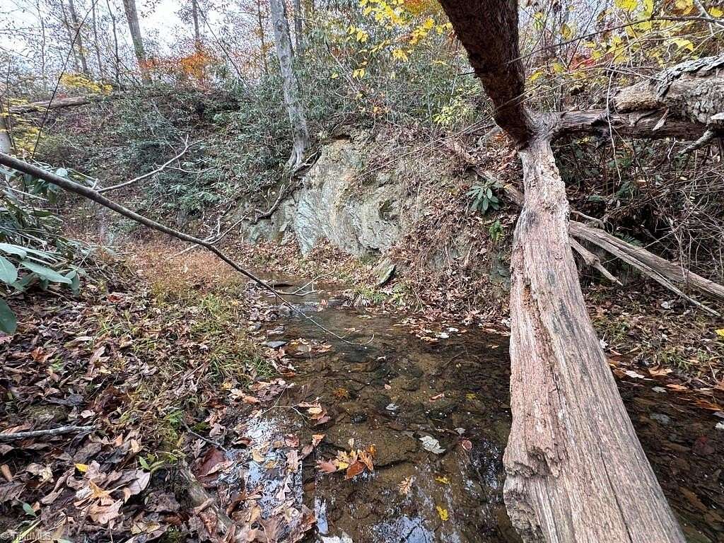 38.7 Acres of Land for Sale in Mount Airy, North Carolina