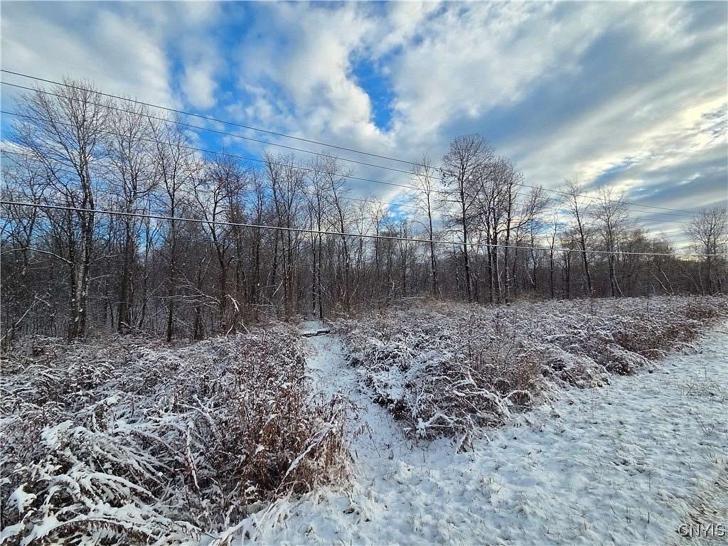 74.4 Acres of Recreational Land for Sale in Carthage, New York