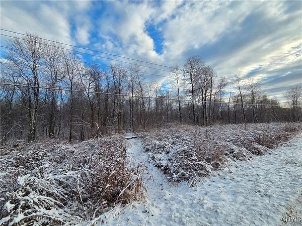 74.4 Acres of Recreational Land for Sale in Carthage, New York