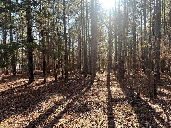 4 Acres of Land for Sale in Texarkana, Arkansas