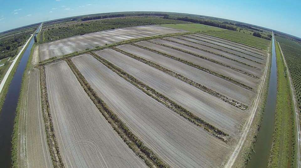 80 Acres of Agricultural Land for Lease in Fort Pierce, Florida