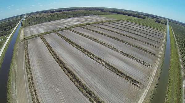 80 Acres of Agricultural Land for Lease in Fort Pierce, Florida