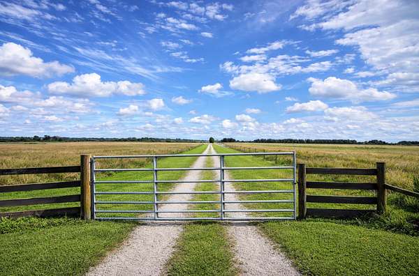 80 Acres of Agricultural Land for Lease in Fort Pierce, Florida
