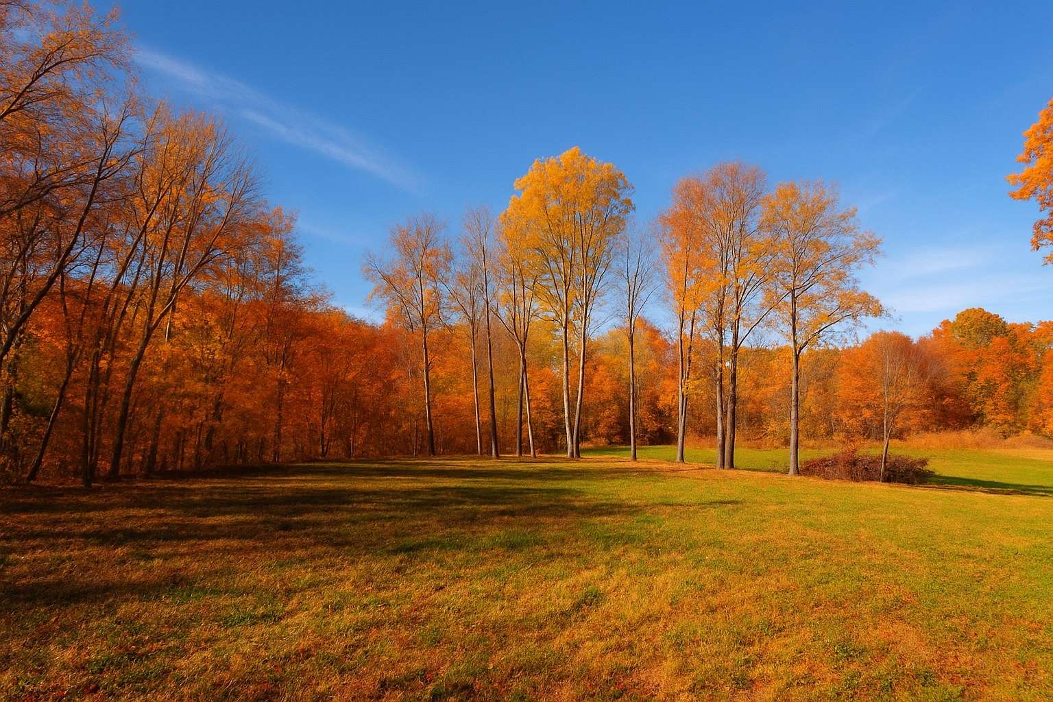 10 Acres of Land for Sale in Clarksville, Tennessee