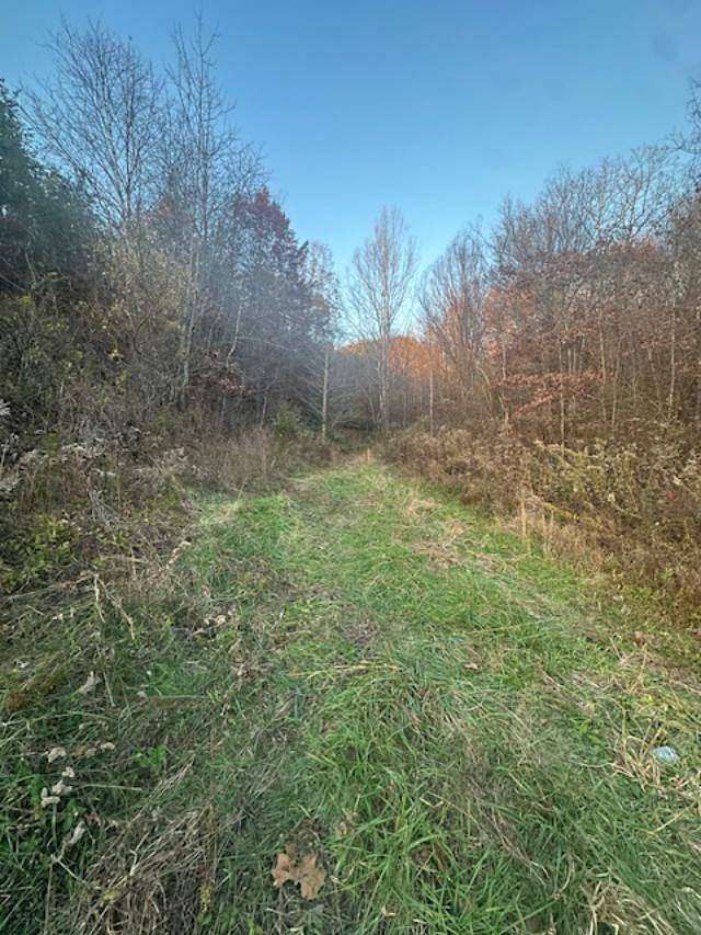 25 Acres of Recreational Land for Sale in West Liberty, Kentucky