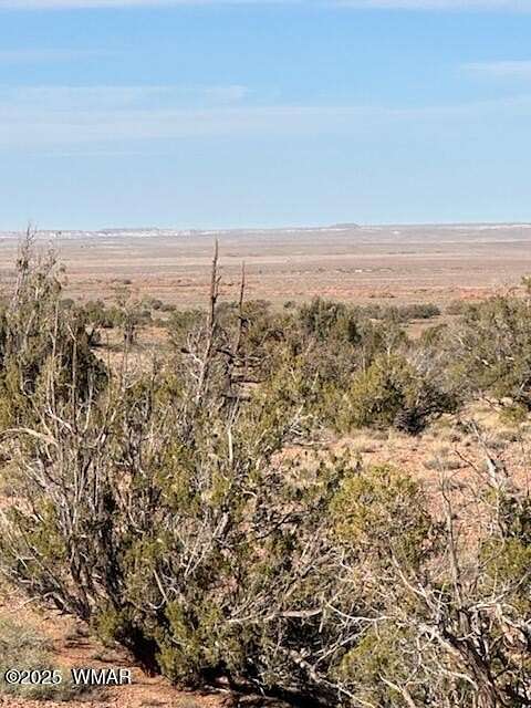 40 Acres of Land for Sale in Snowflake, Arizona