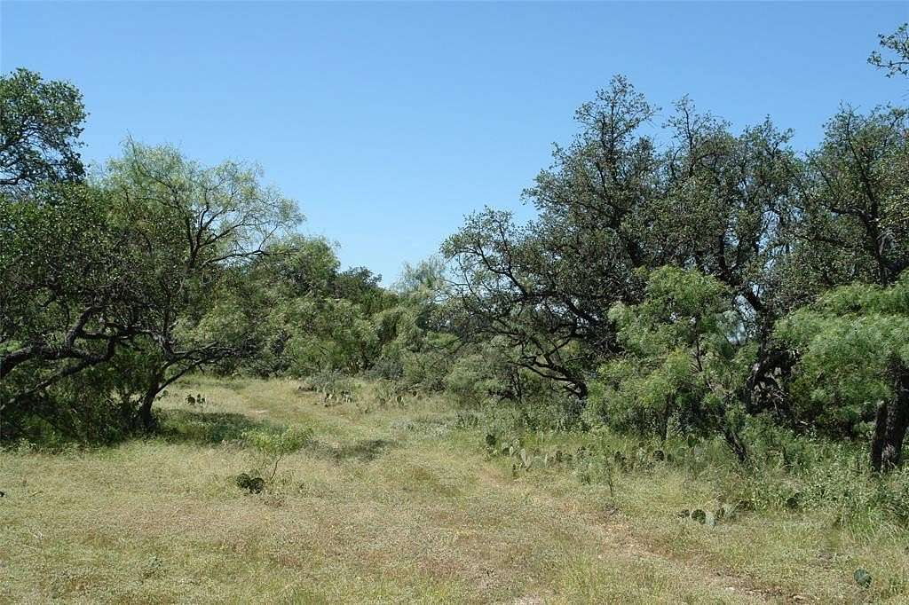 50.2 Acres of Recreational Land for Sale in Brady, Texas