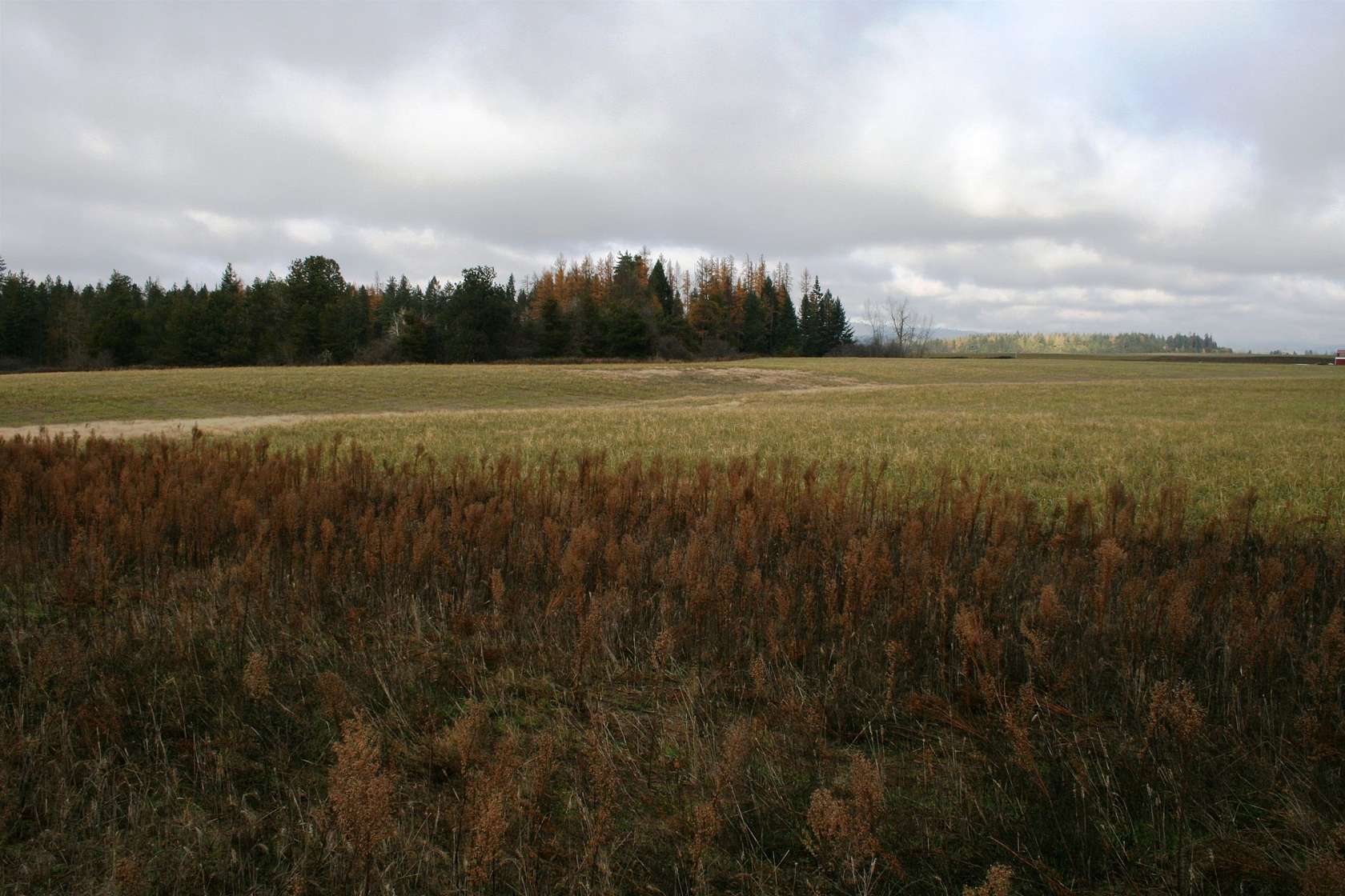 10 Acres of Residential Land for Sale in Deer Park, Washington