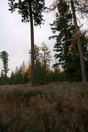 10 Acres of Residential Land for Sale in Deer Park, Washington