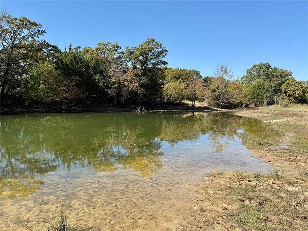 76.5 Acres of Improved Land for Sale in Montague, Texas