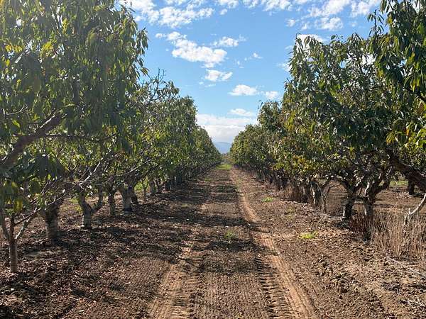 10 Acres of Land for Sale in Gilroy, California