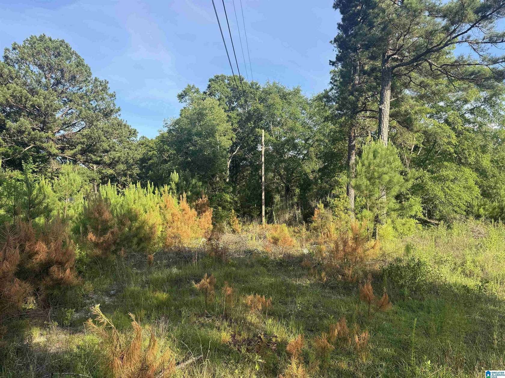 1 Acre of Land for Sale in Salem, Alabama