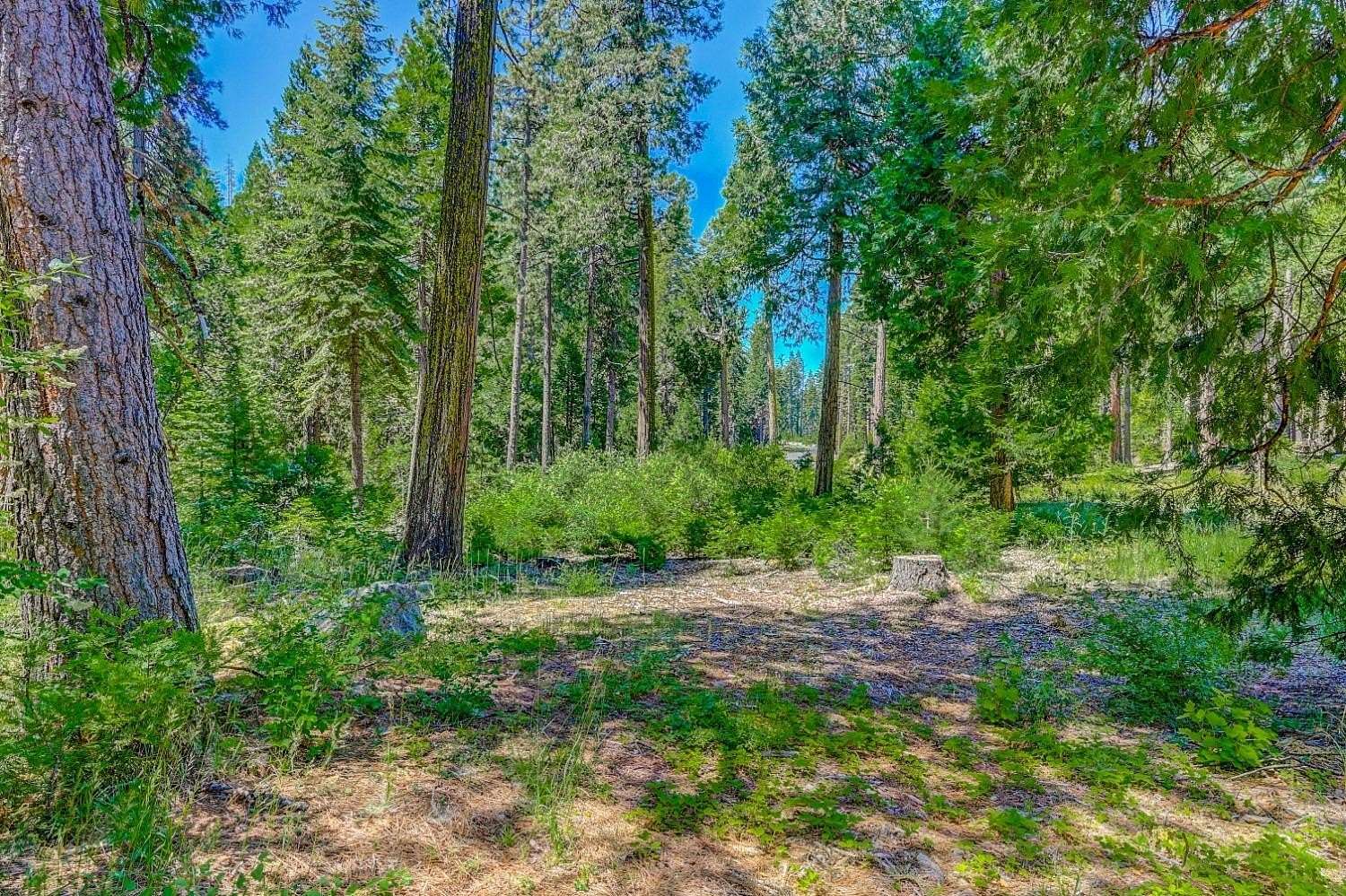 1.14 Acres of Residential Land for Sale in Dorrington, California