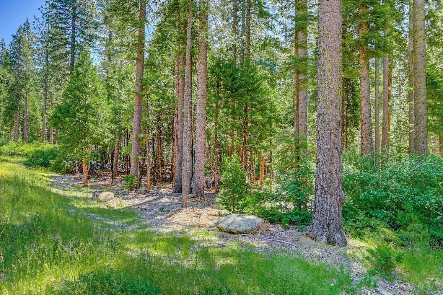 1.1 Acres of Residential Land for Sale in Dorrington, California