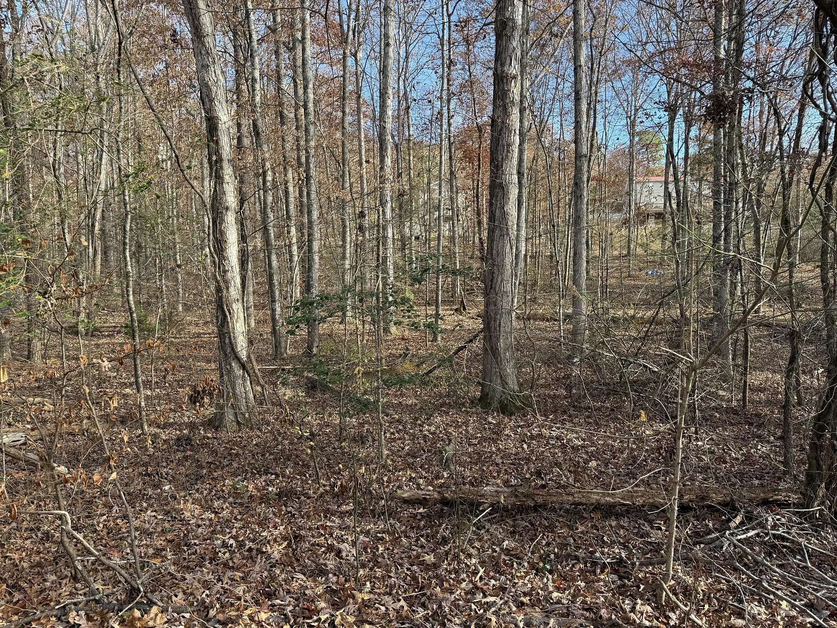 0.57 Acres of Residential Land for Sale in Newport, Tennessee