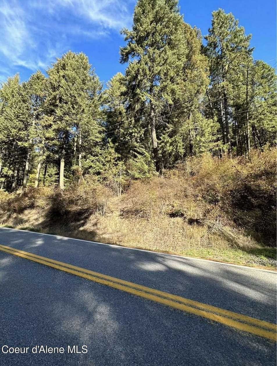 0.35 Acres of Residential Land for Sale in Harrison, Idaho
