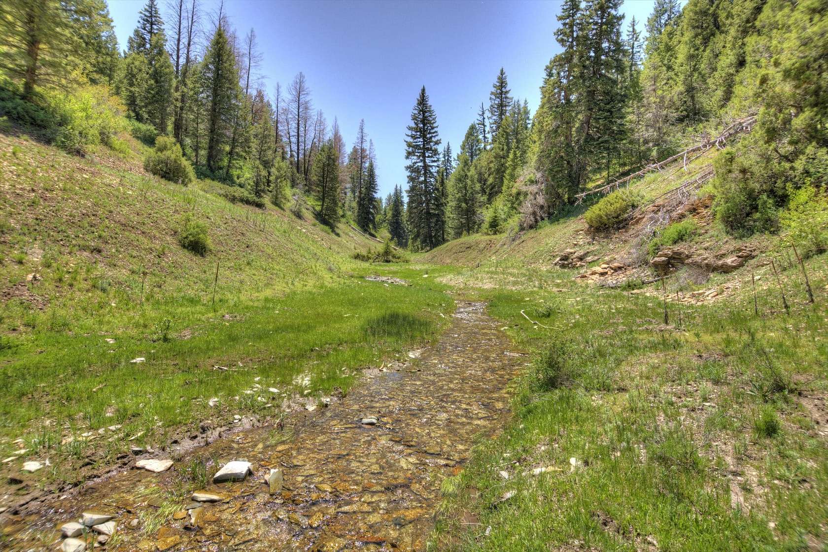 643 Acres of Recreational Land for Sale in Rifle, Colorado
