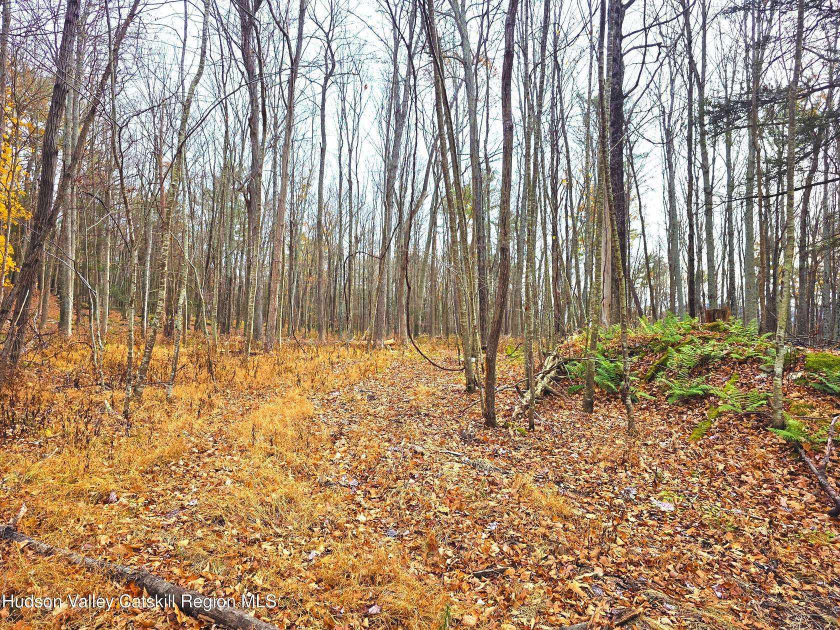 28.8 Acres of Recreational Land for Sale in Cairo, New York