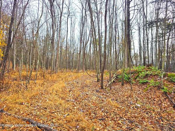 28.8 Acres of Recreational Land for Sale in Cairo, New York