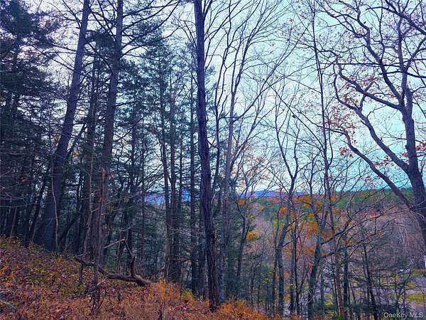 28.8 Acres of Recreational Land for Sale in Cairo, New York