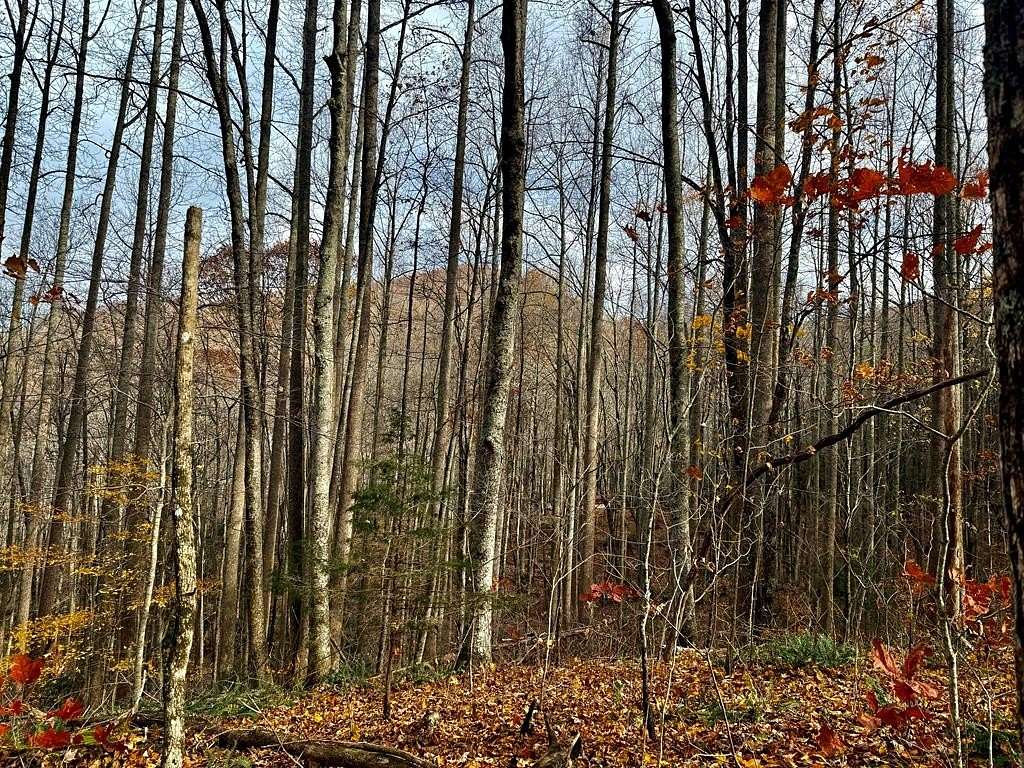 4.5 Acres of Residential Land for Sale in Franklin, North Carolina