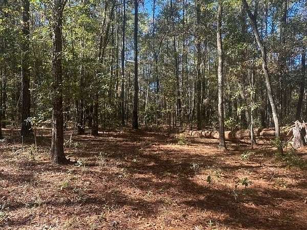 5 Acres of Residential Land for Sale in Tallahassee, Florida