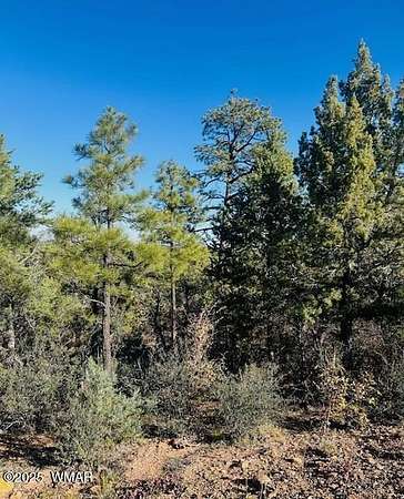 0.54 Acres of Residential Land for Sale in Show Low, Arizona