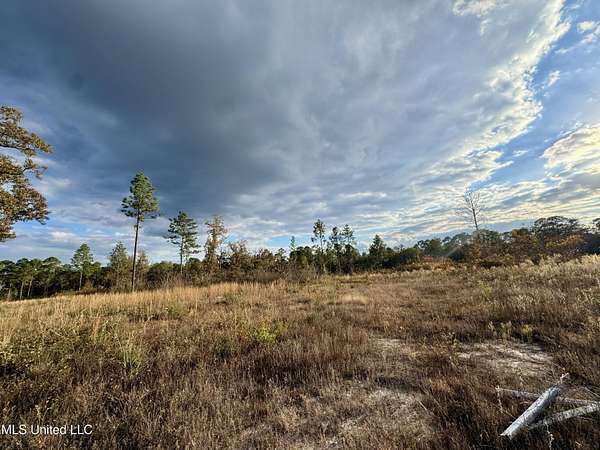 46 Acres of Land for Sale in Wiggins, Mississippi