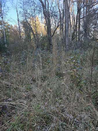 0.23 Acres of Residential Land for Sale in Cowpens, South Carolina