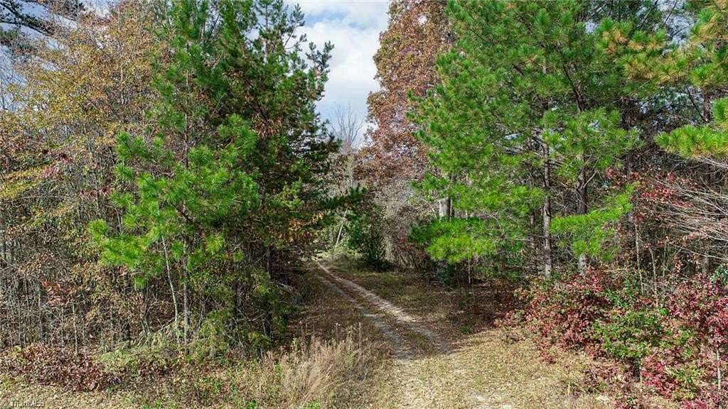 142 Acres of Land for Sale in Reidsville, North Carolina