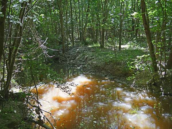 213 Acres of Recreational Land for Sale in Clardy, Texas