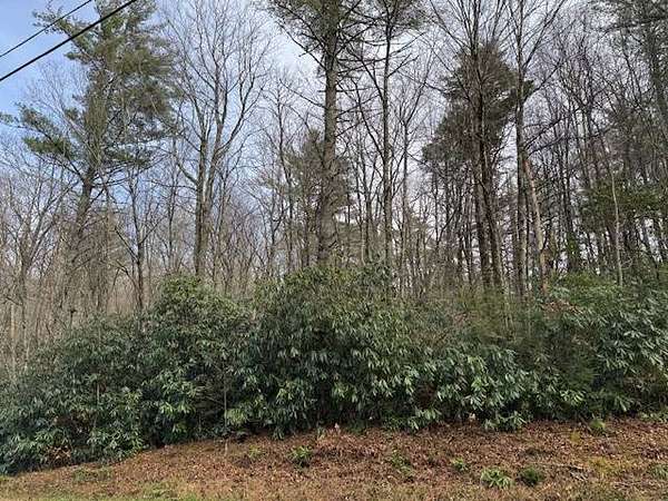 7.7 Acres of Land for Sale in Newland, North Carolina