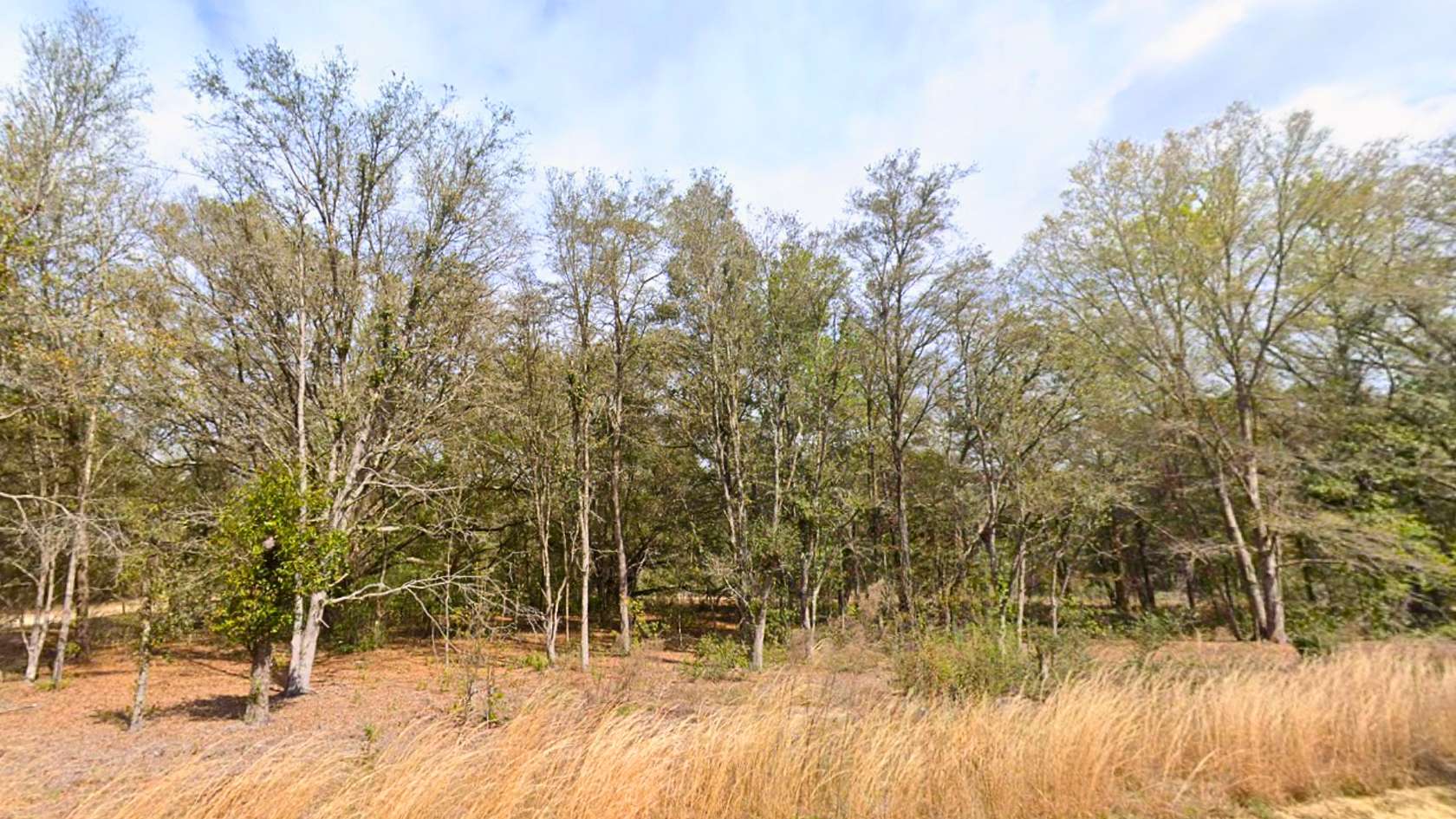 0.22 Acres of Residential Land for Sale in Interlachen, Florida