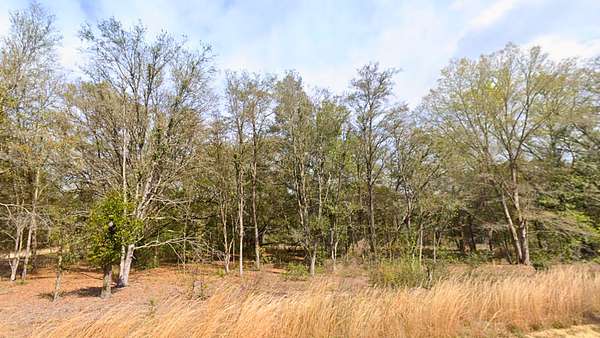 0.22 Acres of Residential Land for Sale in Interlachen, Florida