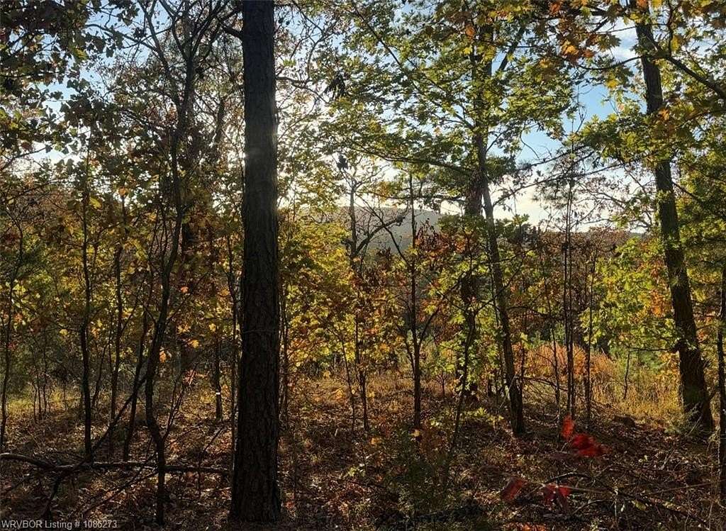 160 Acres of Recreational Land for Sale in Talihina, Oklahoma