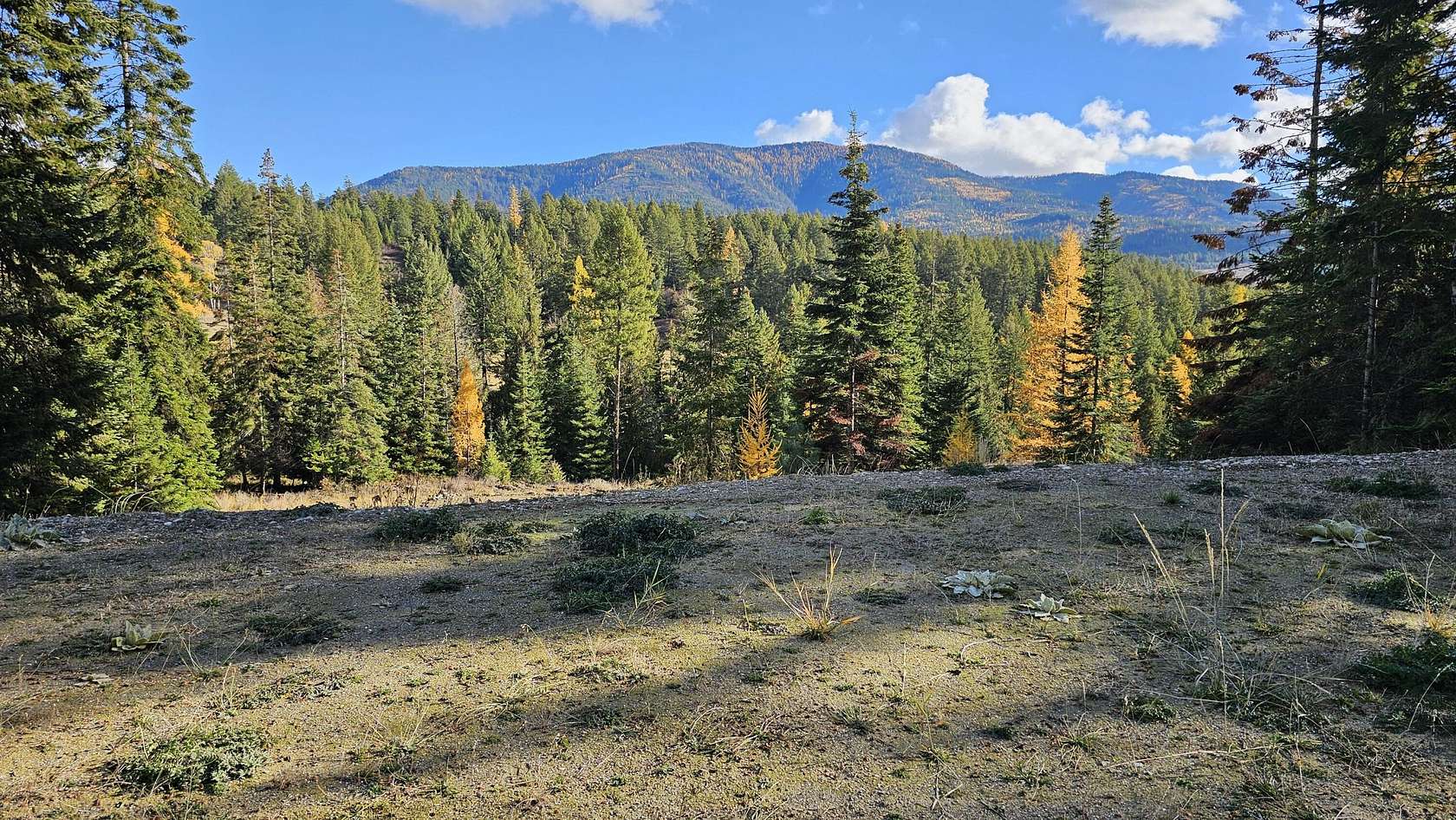 9 Acres of Residential Land for Sale in Colville, Washington