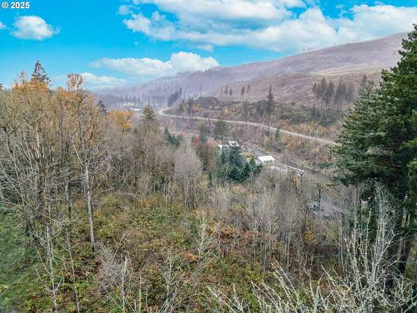 1 Acre of Residential Land for Sale in Lyons, Oregon