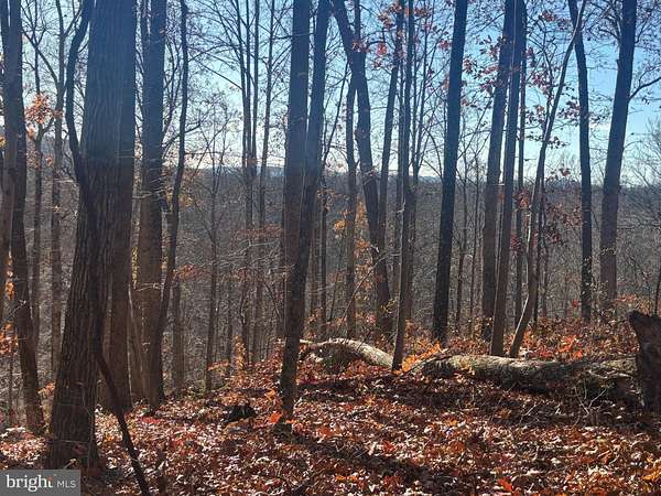 5.14 Acres of Residential Land for Sale in Middleburg, Virginia